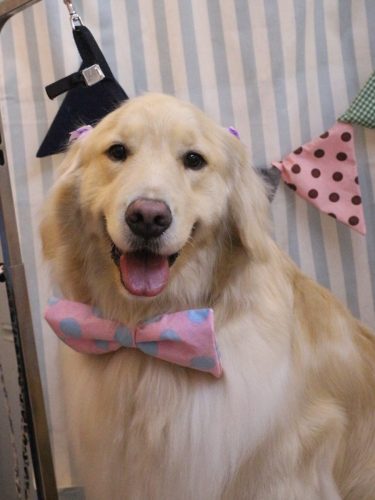 20250531ナナちゃん